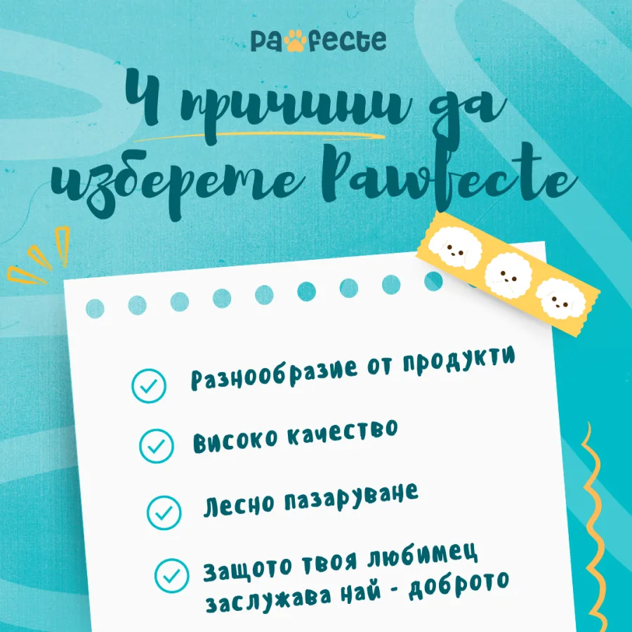 Публикация „4 причини да изберете Pawfecte“ върху тюркоазен фон
