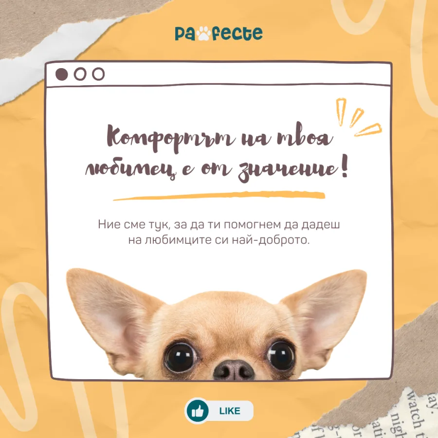 Visual with a chihuahua in a browser frame on yellow, with a like button