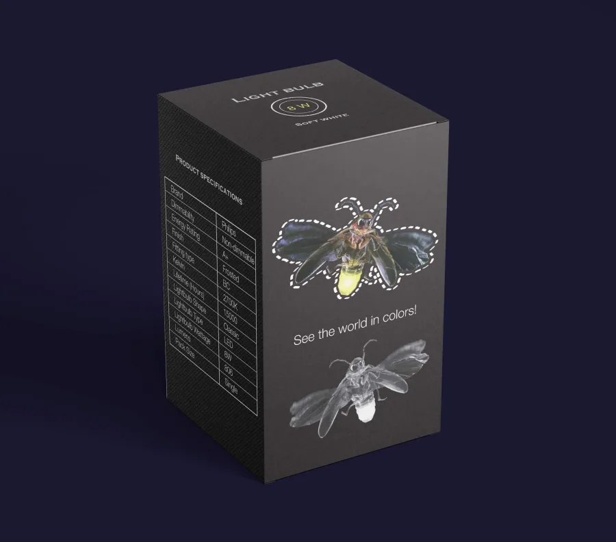 The black box for the 8 W bulb, with a colour firefly outlined by a dashed line